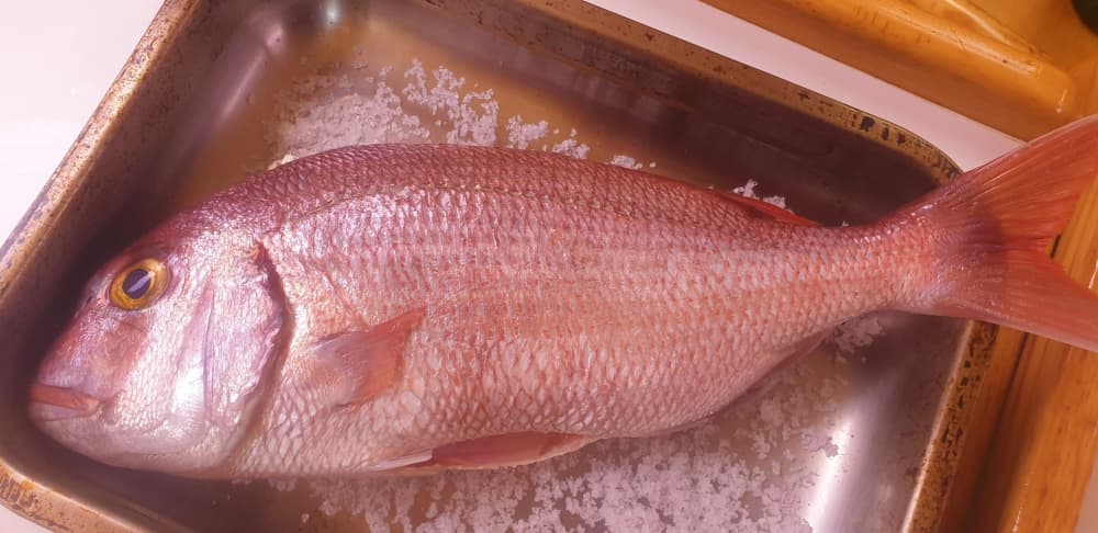 Your magical day on a sailboat!