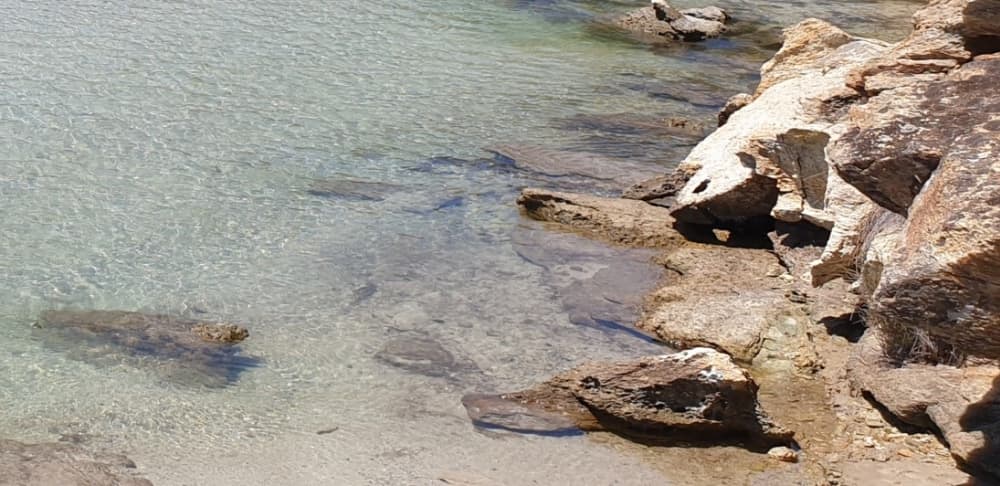 Your magical day on a sailboat!