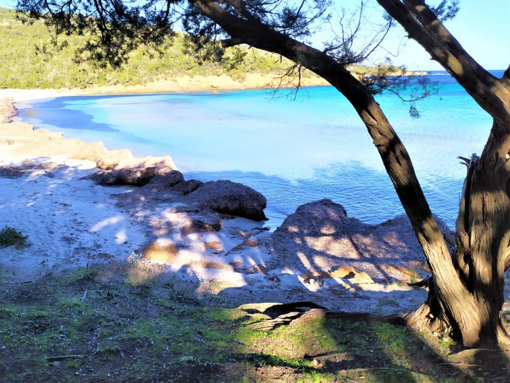 Your magical day on a sailboat!