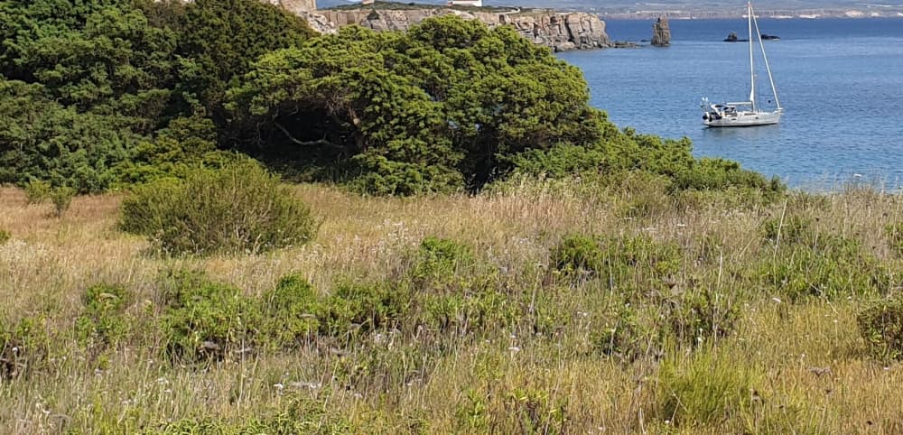 Your magical day on a sailboat!