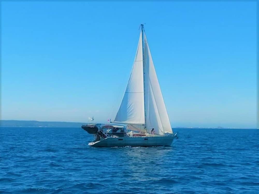 Your magical day on a sailboat!