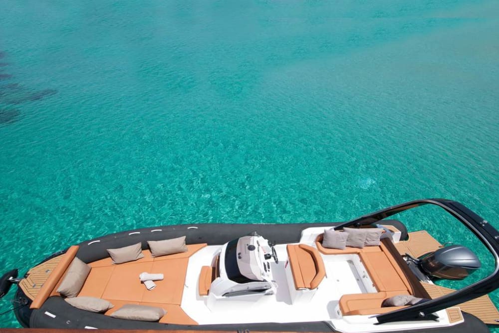 4 hours morning cruise with Speed Boat