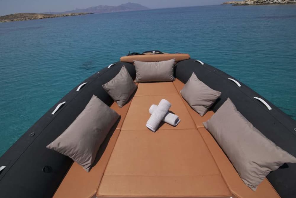 4 hours morning cruise with Speed Boat