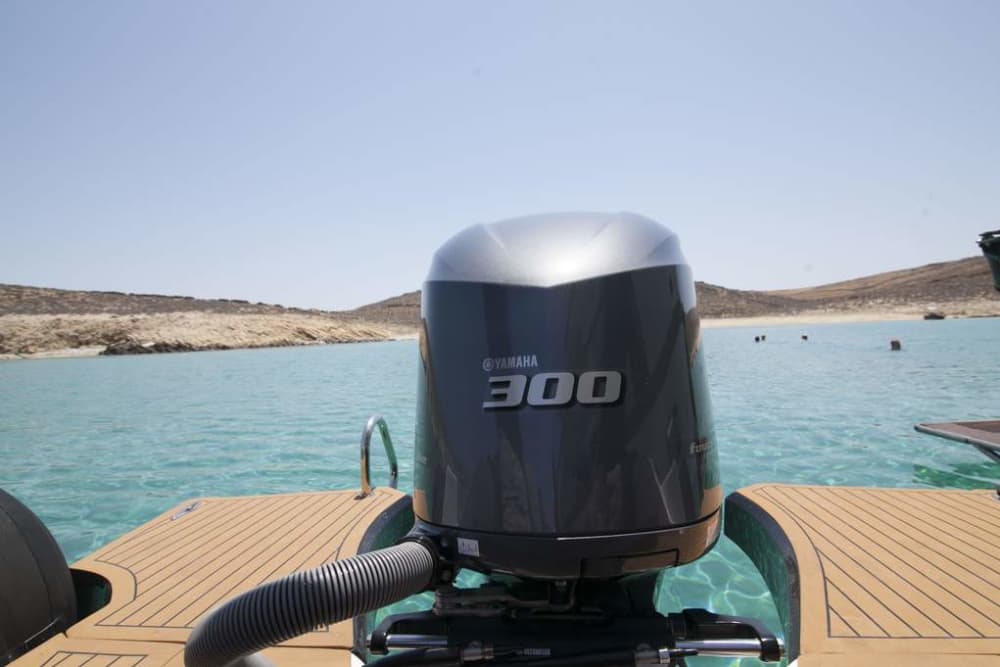 4 hours morning cruise with Speed Boat