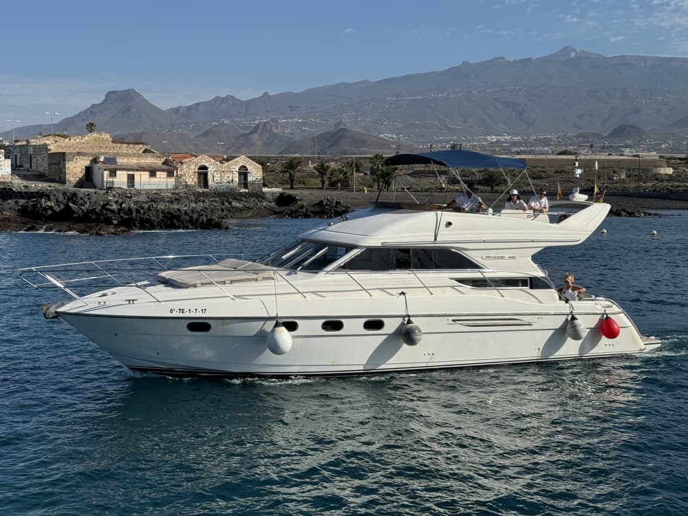 Excursion en bateau de 3h30 à Las Galletas pour profiter du soleil et de la mer