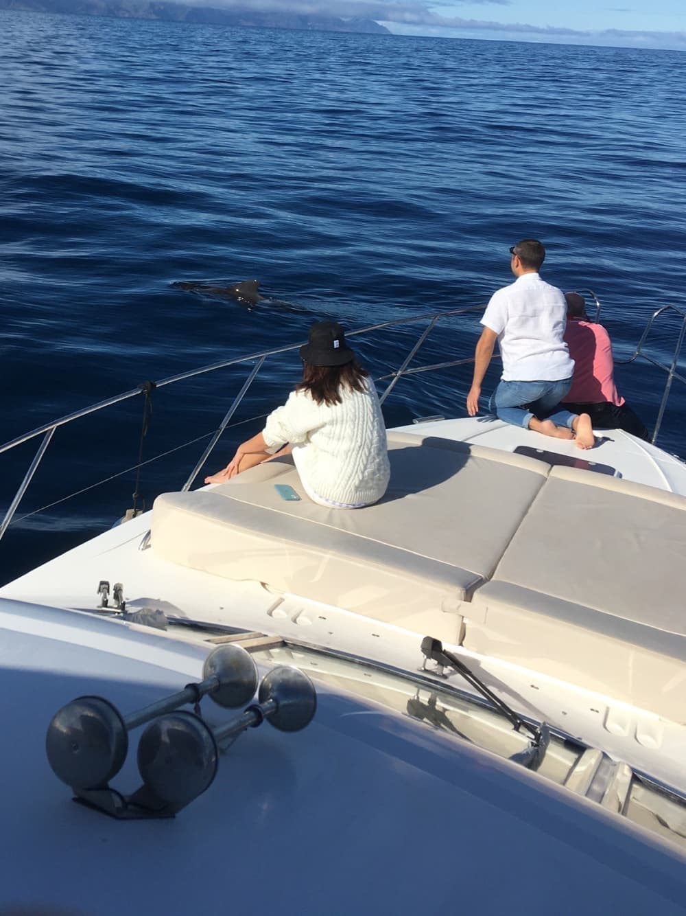 Excursion en bateau de 3h30 à Las Galletas pour profiter du soleil et de la mer