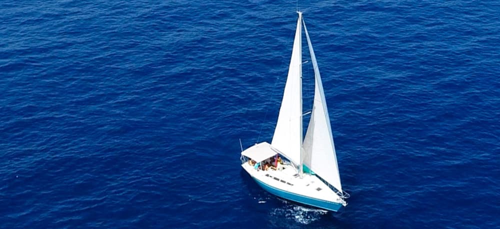 Full-day sailing experience in Porto Cristo