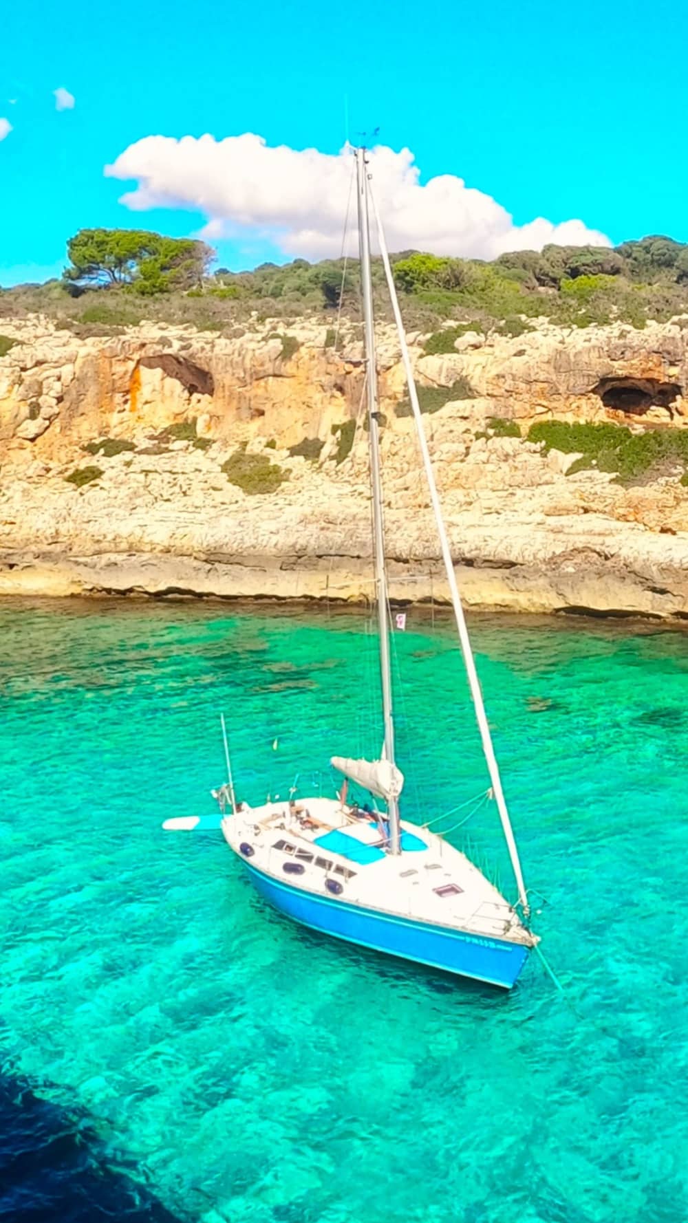 Full-day sailing experience in Porto Cristo