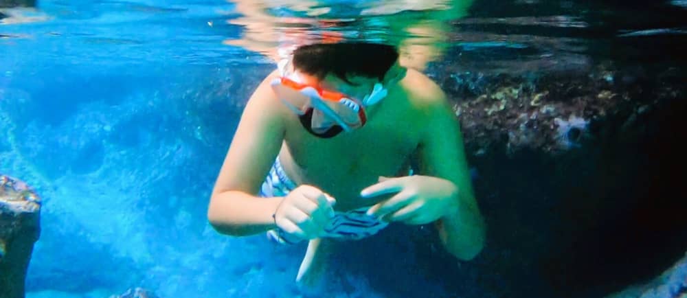 Full-day sailing experience in Porto Cristo