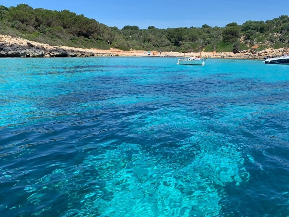 Full-day sailing experience in Porto Cristo