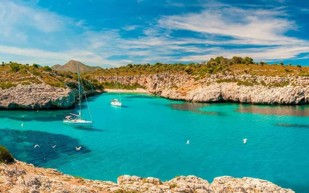 Full-day sailing experience in Porto Cristo