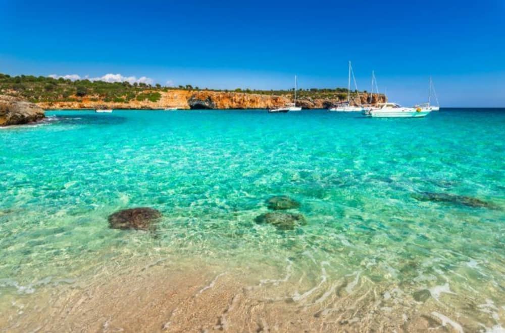 Full-day sailing experience in Porto Cristo