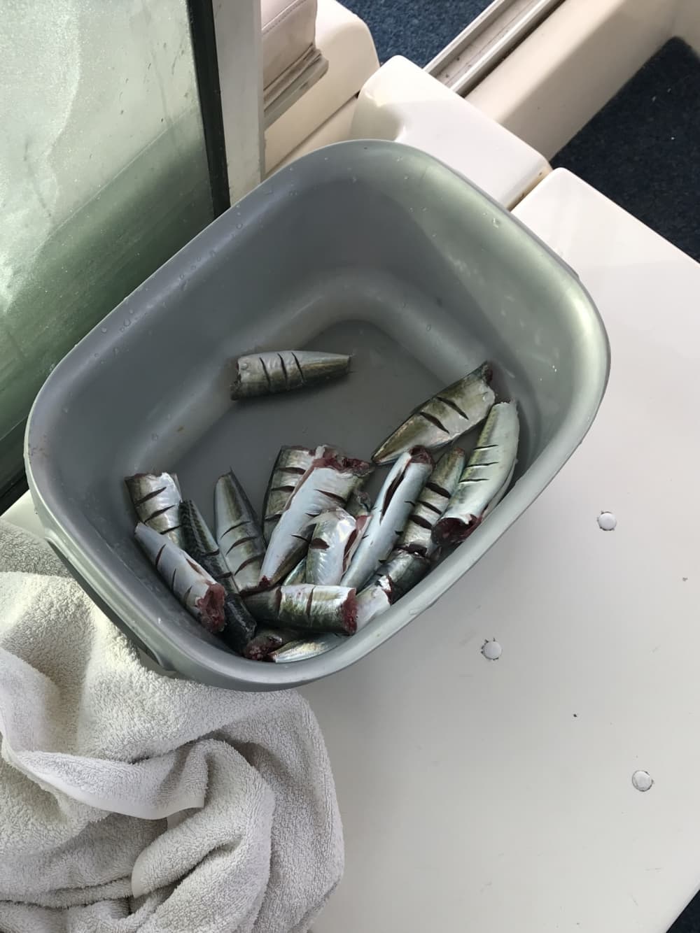 Private boat trip around Bar on a motorboat