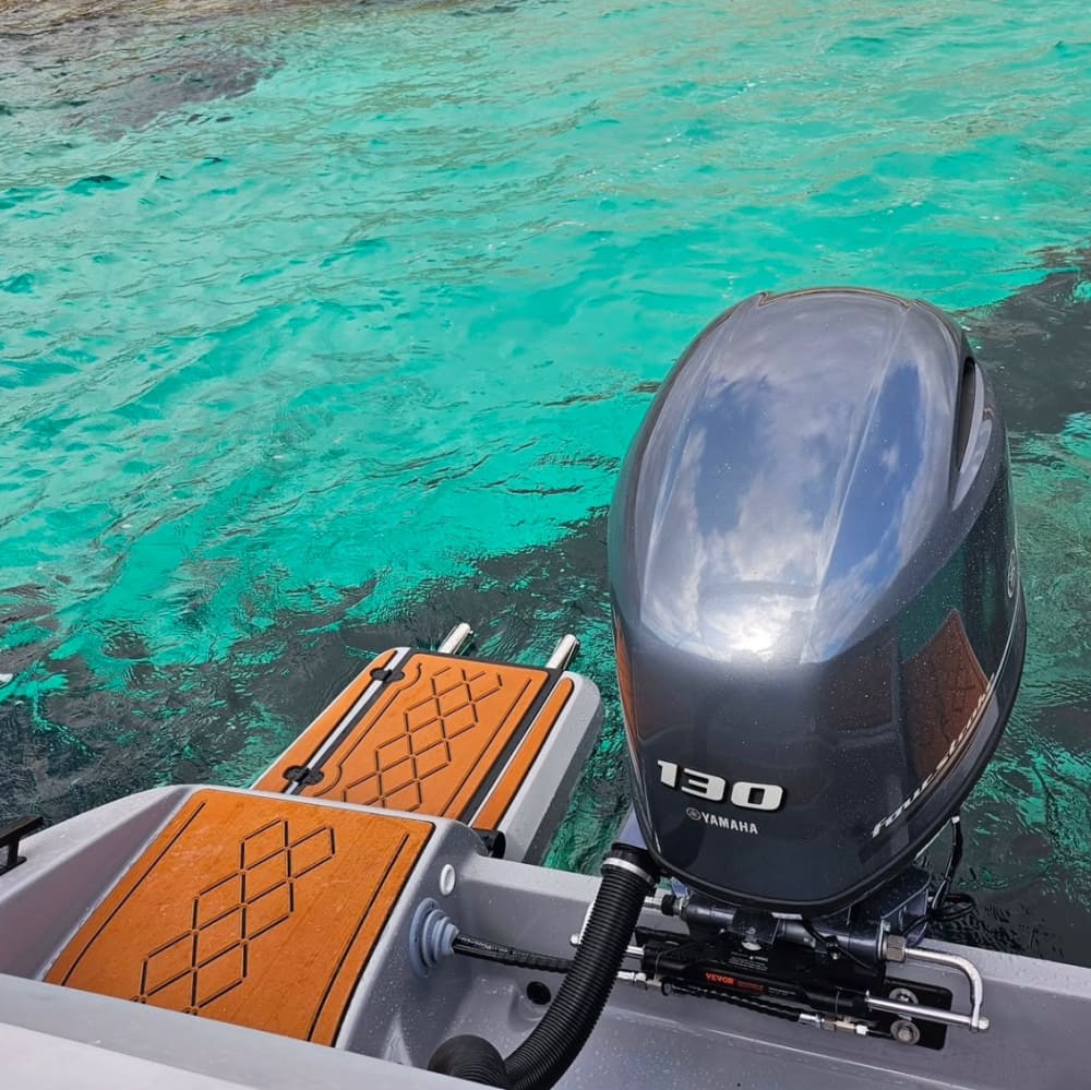 4-stündige Bootsfahrt in La Herradura, um Sonne und Meer zu genießen