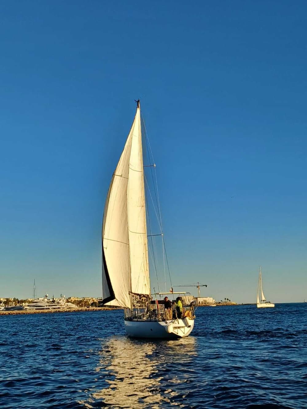 Pon rumbo a la alegría: Un día completo de navegación auténtica en Cannes a bordo de un velero.