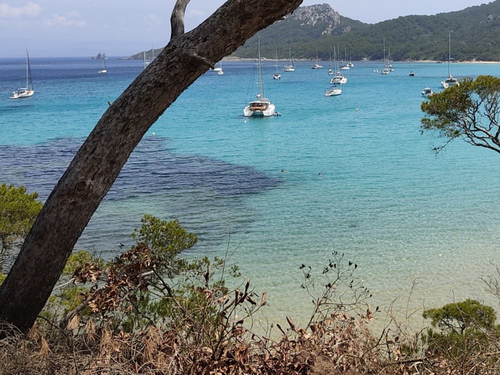 Pon rumbo a la alegría: Un día completo de navegación auténtica en Cannes a bordo de un velero.