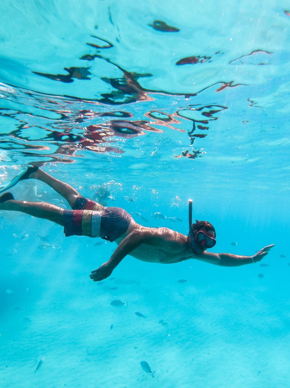 Découvrez Port de Sant Miquel : une journée ensoleillée en bateau à moteur
