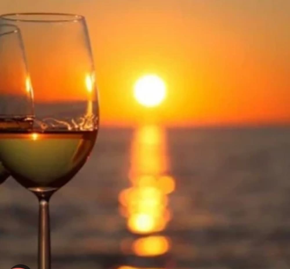 3h45 pour découvrir Empuriabrava en bateau à moteur