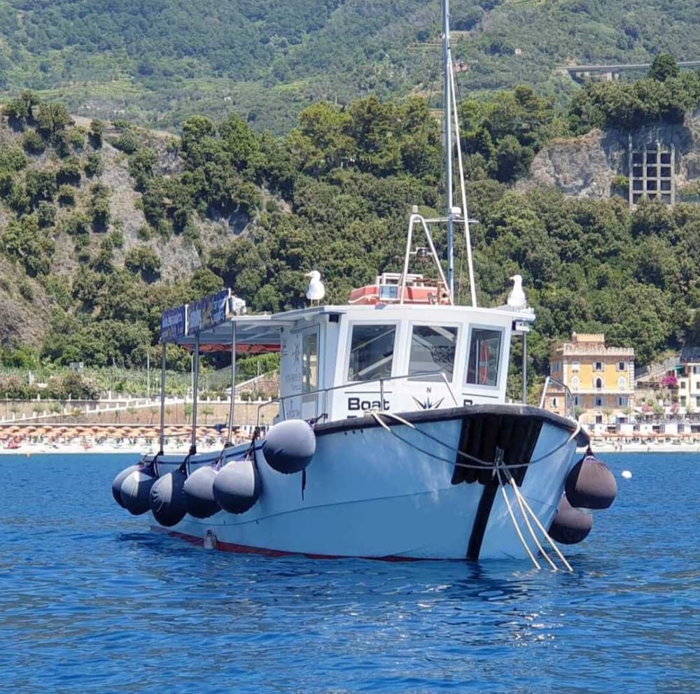 Profitez de 9 heures de balade en bateau à moteur à La Spezia