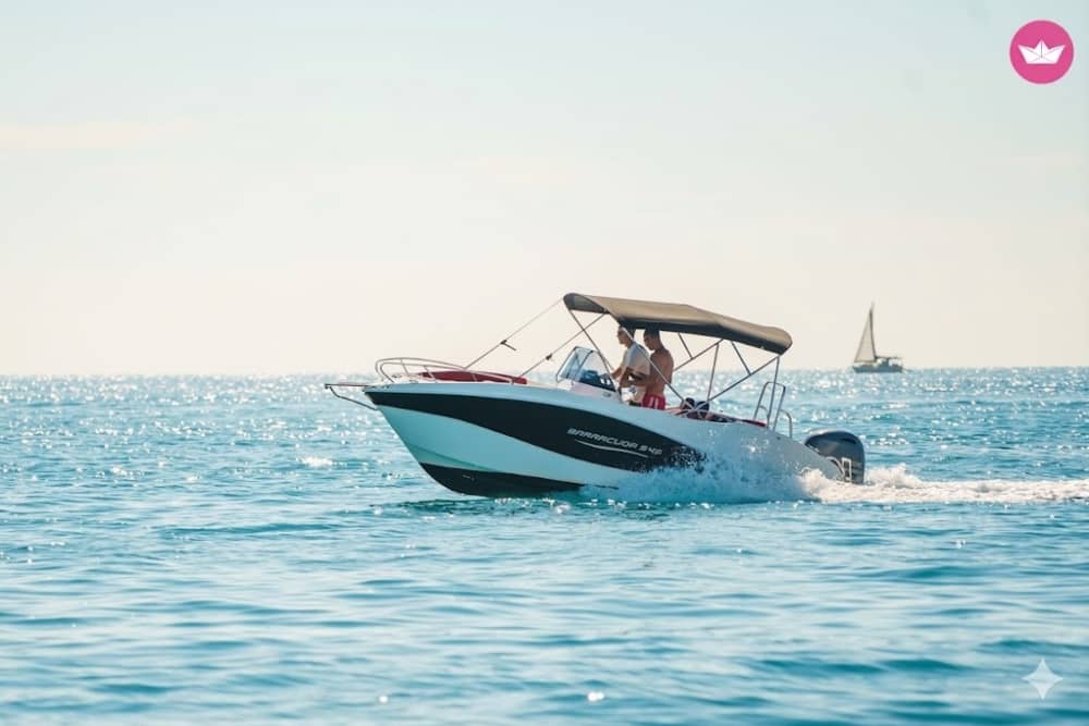 Cruise with dolphin tracking for up to 5 guests