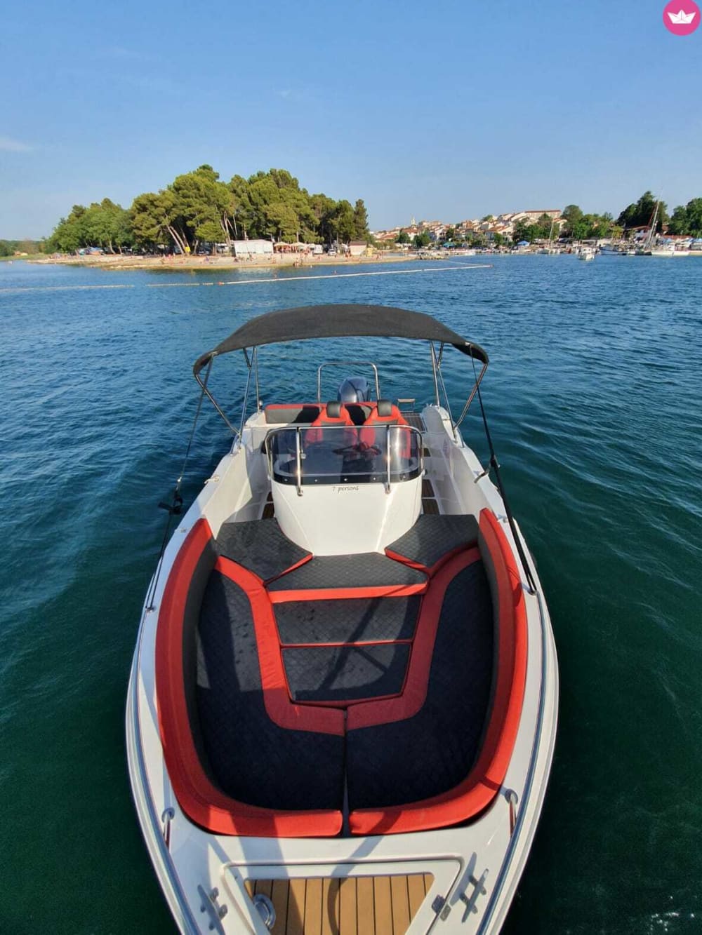 Cruise with dolphin tracking for up to 5 guests