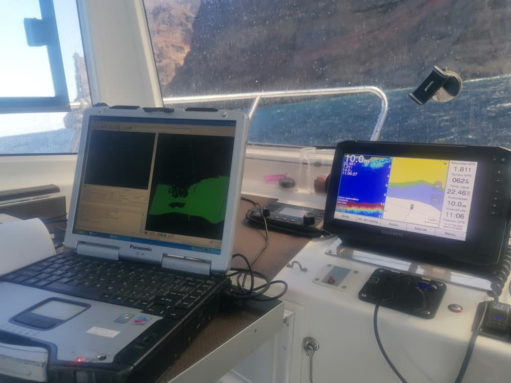 Halve dag zeetocht in het zuiden van Gran Canaria