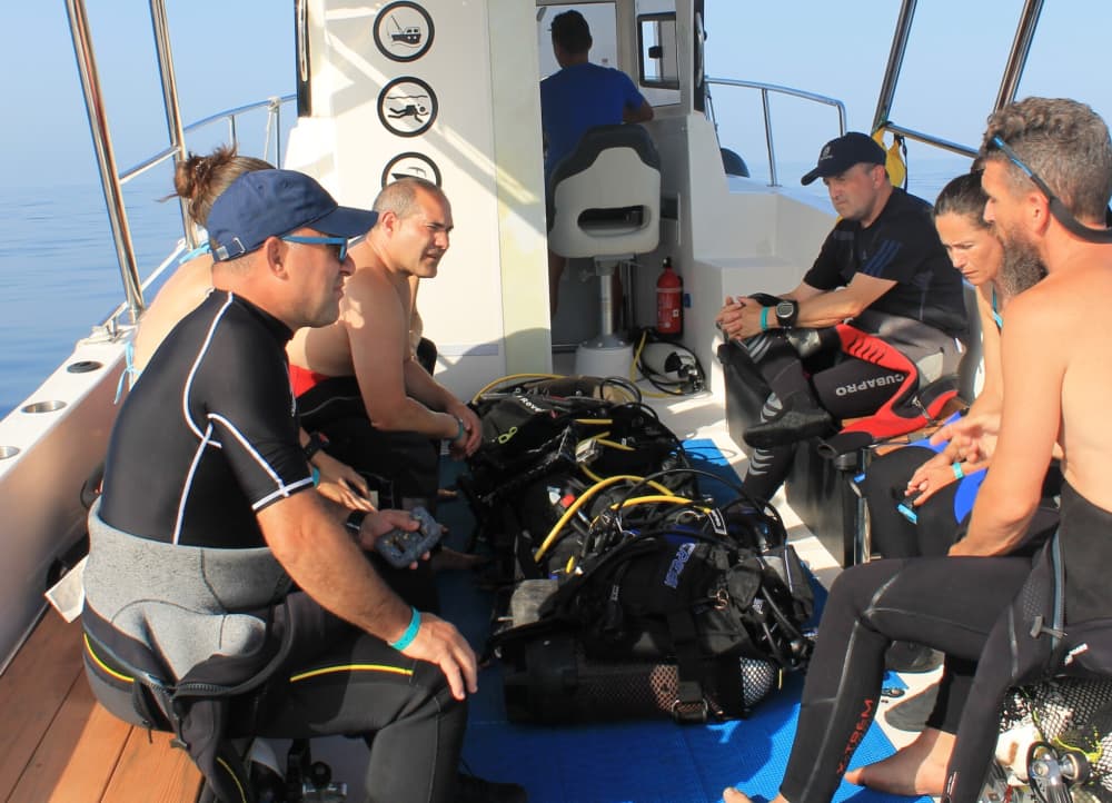 Half-day sea trip in the south of Gran Canaria
