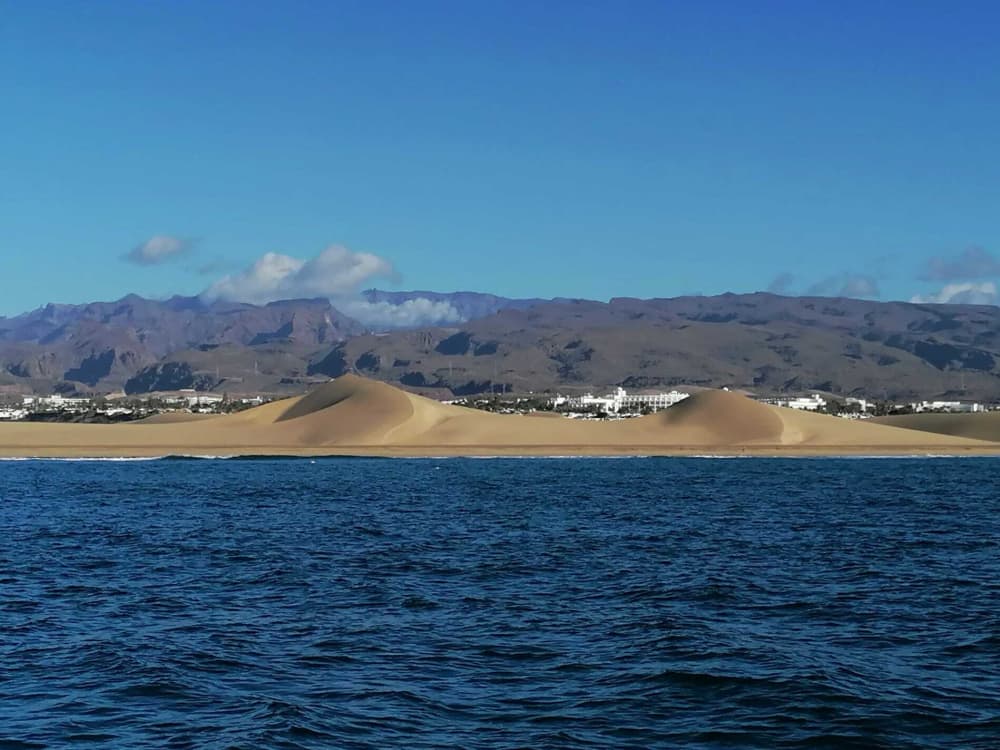 Expérience Pêche en Mer d'une demi-journée à Pasito Blanco