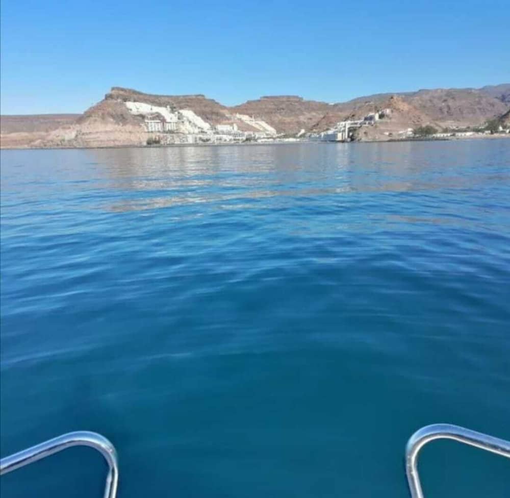 Half-day sea trip in the south of Gran Canaria