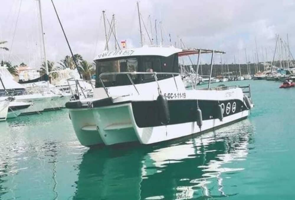 Expérience Pêche en Mer d'une demi-journée à Pasito Blanco