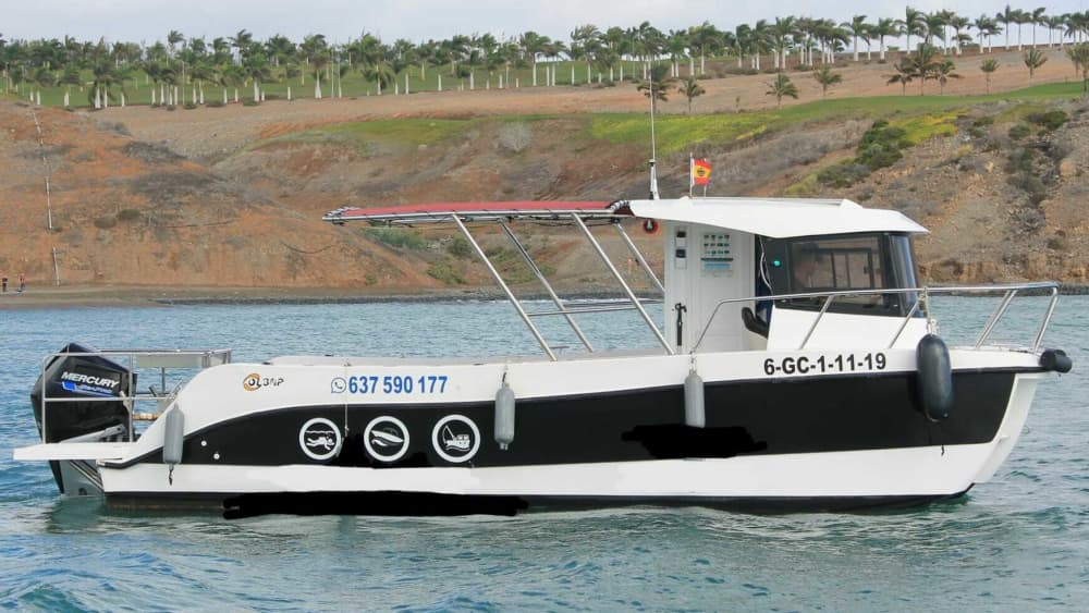 Expérience Pêche en Mer d'une demi-journée à Pasito Blanco