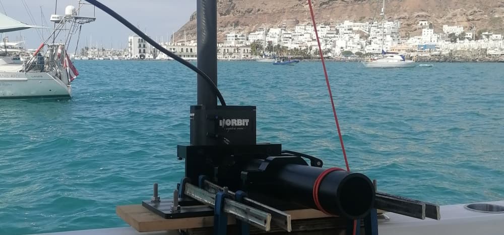 Half-day sea trip in the south of Gran Canaria