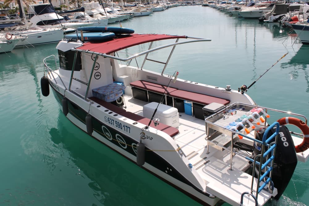 Expérience Pêche en Mer d'une demi-journée à Pasito Blanco