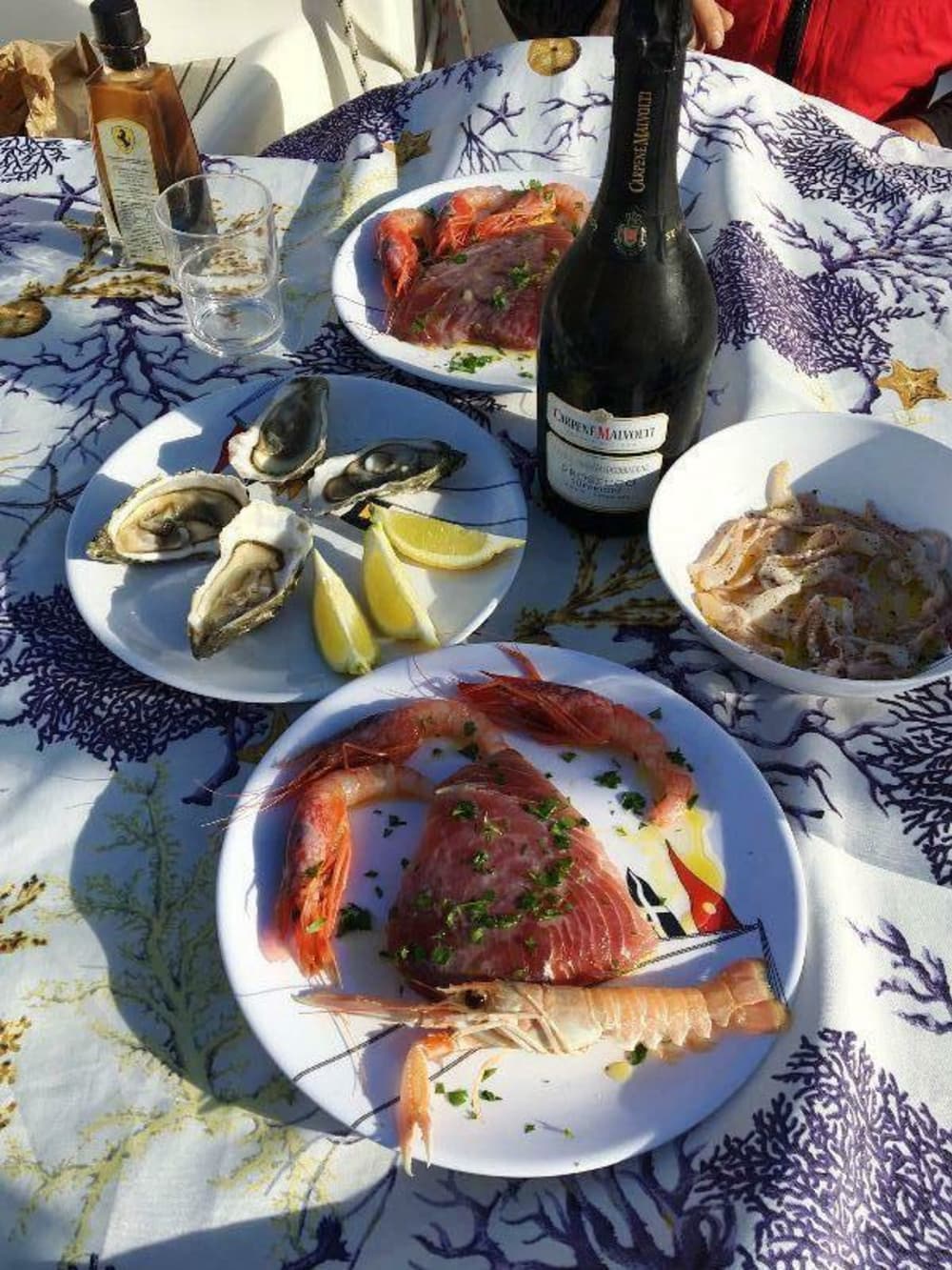 Εξερευνήστε το Sesto Calende και απολαύστε μια ολόκληρη μέρα ιστιοπλοΐας με ιστιοπλοϊκό