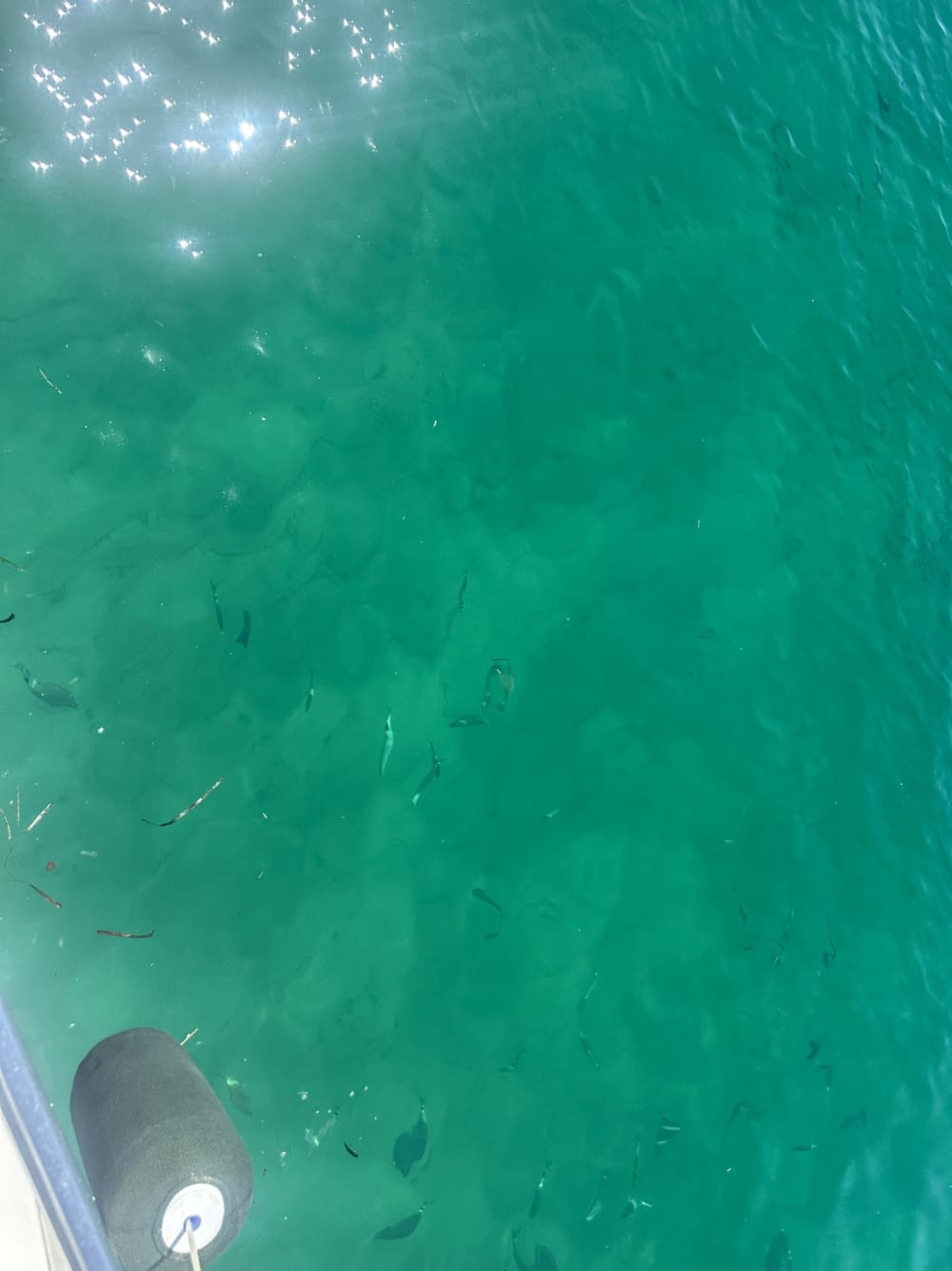 Descubre Saint-Tropez en lancha motora durante 6 horas.