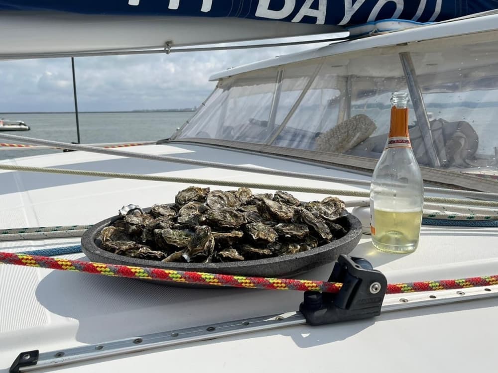 Excursion d'une journée en catamaran à Arcachon