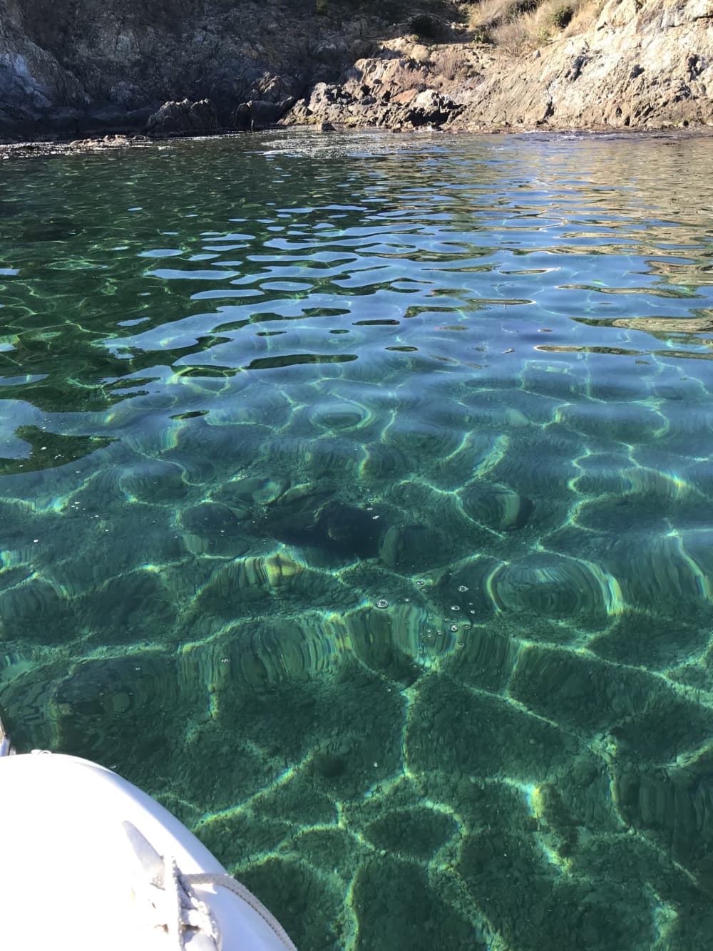 Le meilleur d'Argelès-sur-Mer se découvre sur l'eau : votre journée privée complète en bateau à moteur