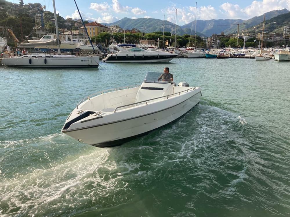 Experience the magic of Portofino from the sea in half a day.
