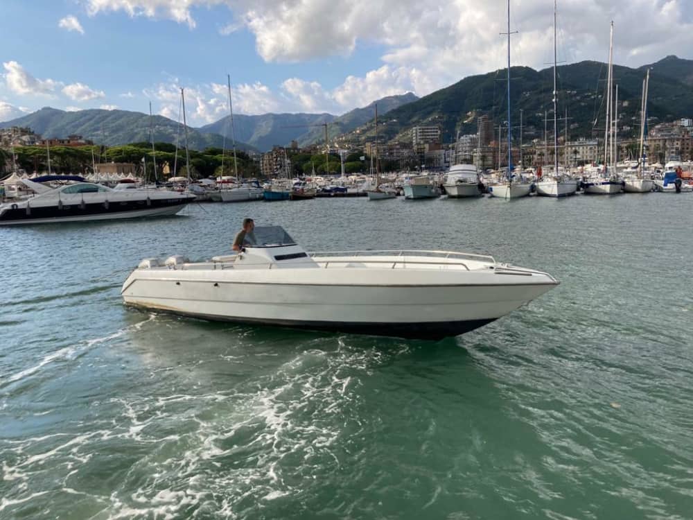 Experience the magic of Portofino from the sea in half a day.