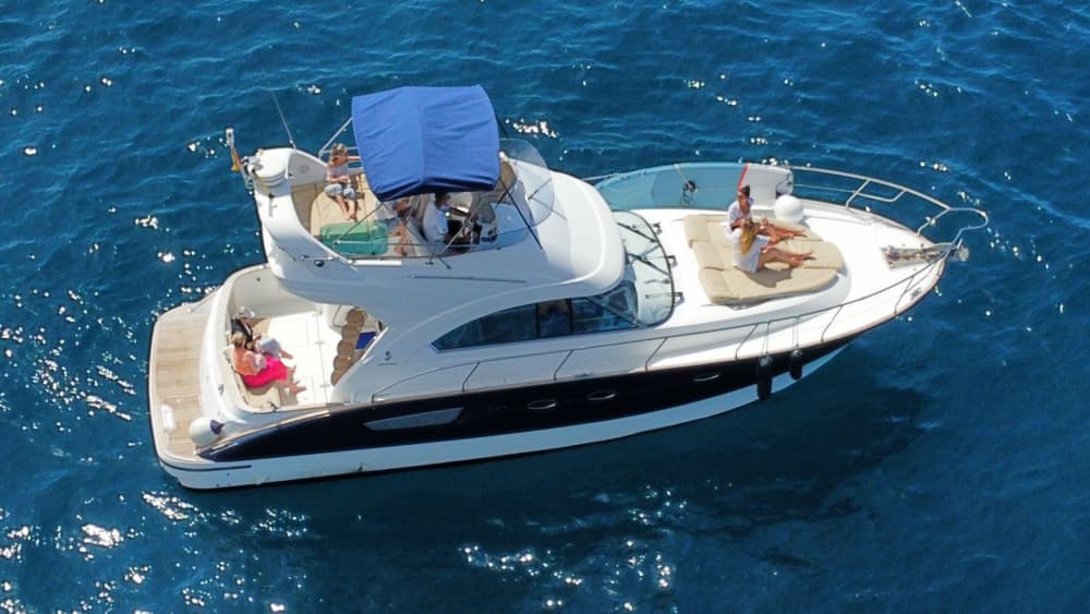 Croisière exclusive en yacht : explorez Los Gigantes, la baie de Masca et les merveilles de la faune à Tenerife