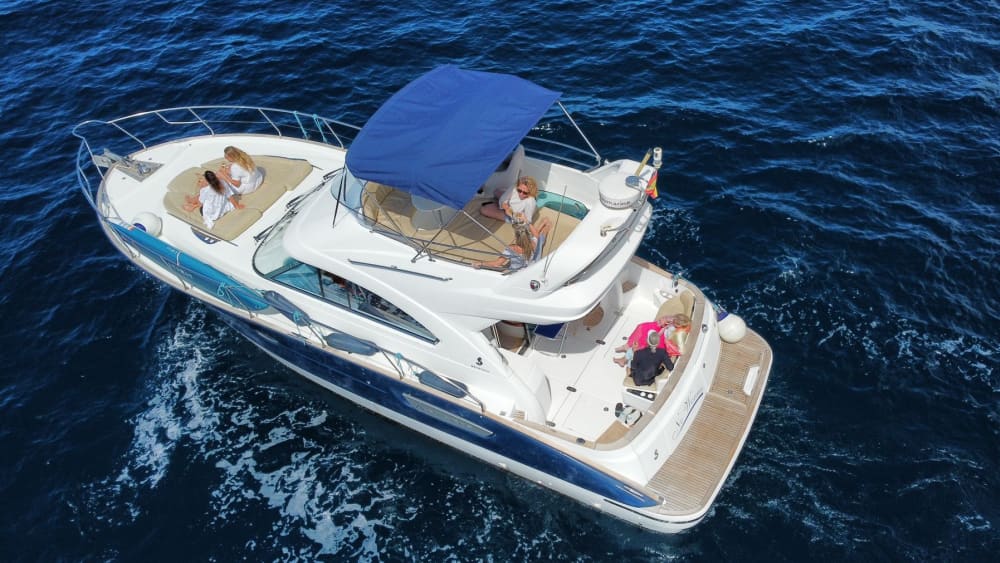 Croisière exclusive en yacht : explorez Los Gigantes, la baie de Masca et les merveilles de la faune à Tenerife