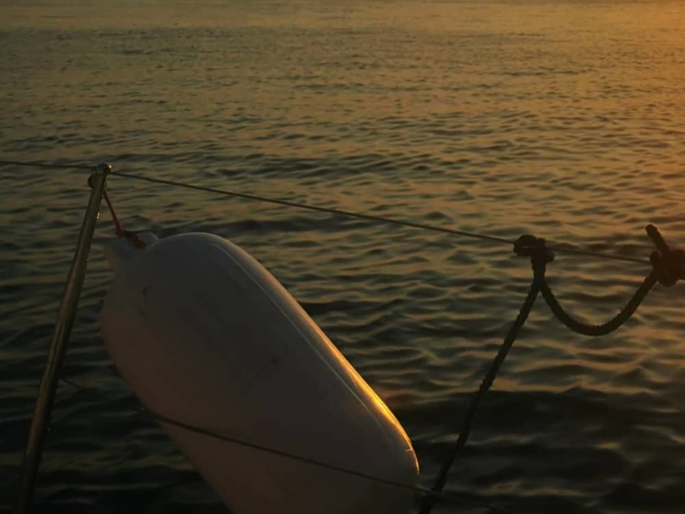 Crucero "Cap Liberté: escapada entre Saint-Jean-Cap-Ferrat y la Riviera"