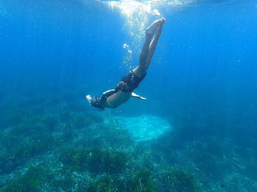Crucero "Cap Liberté: escapada entre Saint-Jean-Cap-Ferrat y la Riviera"