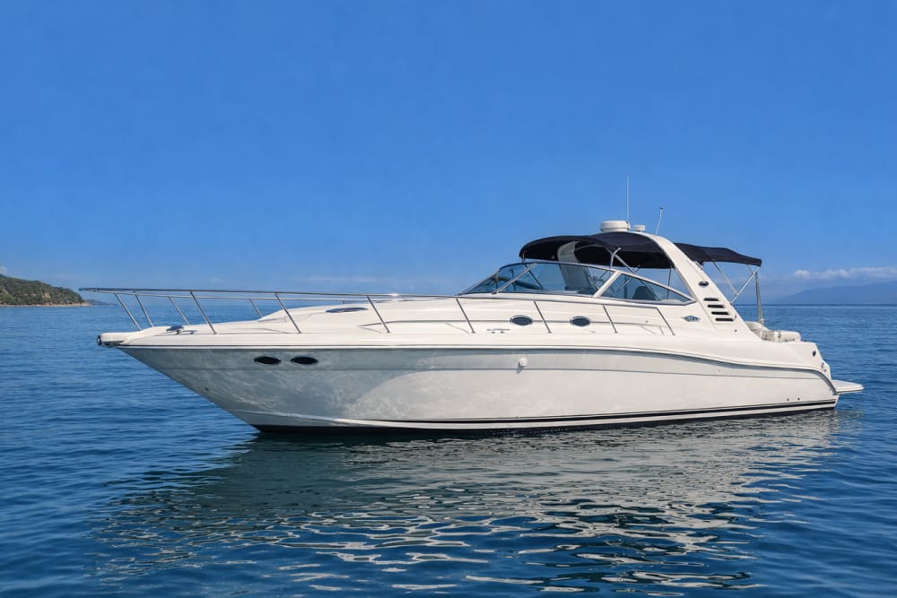 Verhuur Motorboot Sea Ray 36 Puerto Vallarta