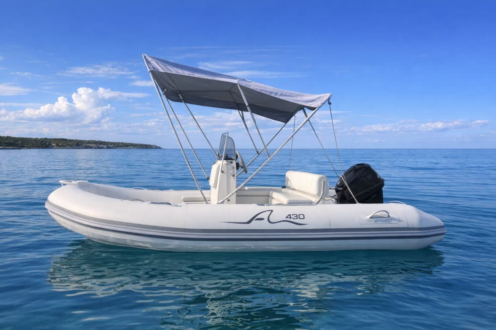 Pioneer 430