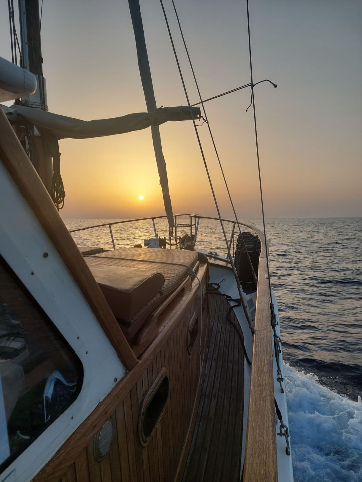 Gallery: image #20