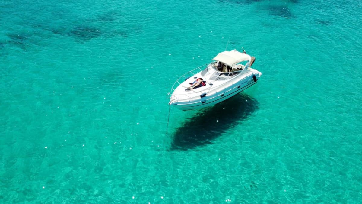 Full Day Charter