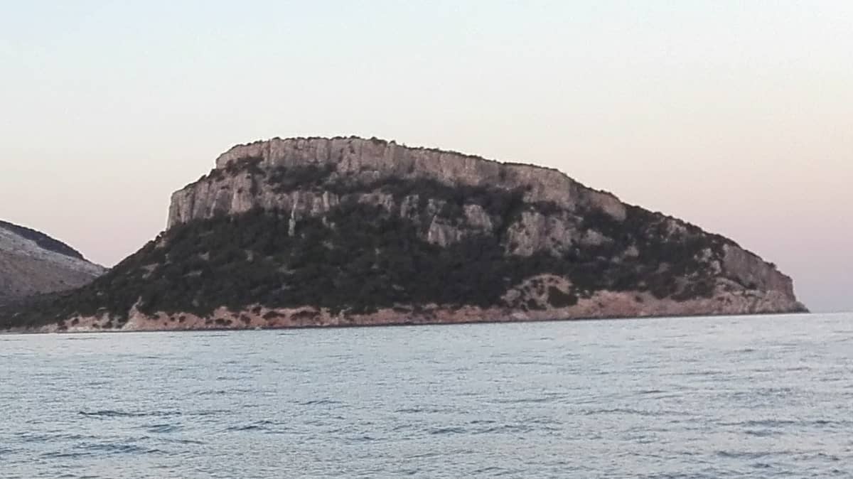 Gallery: image #23