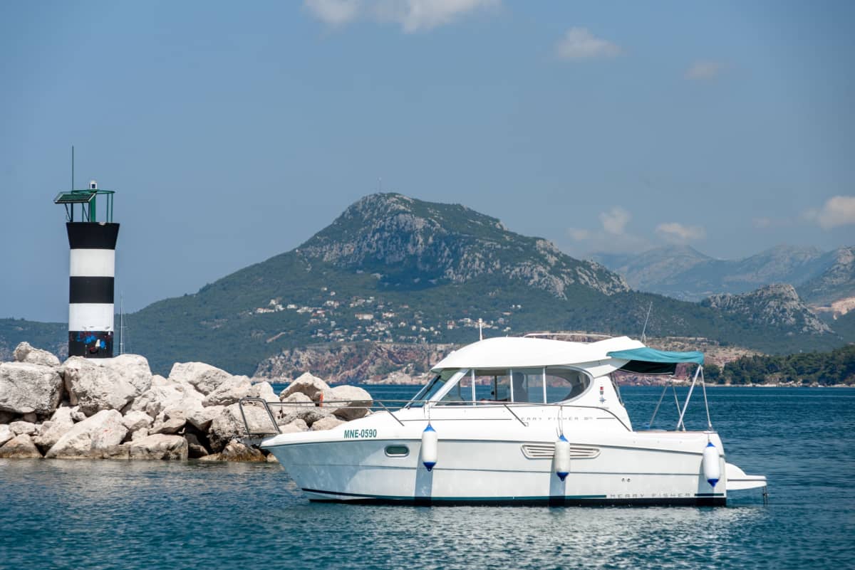 Gallery: image #4