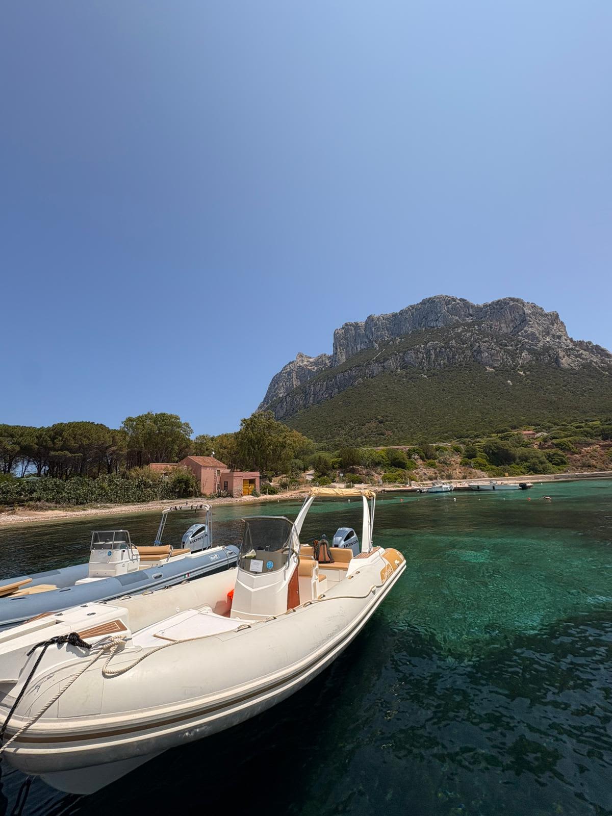Discovering Tavolara – Full Day Experience